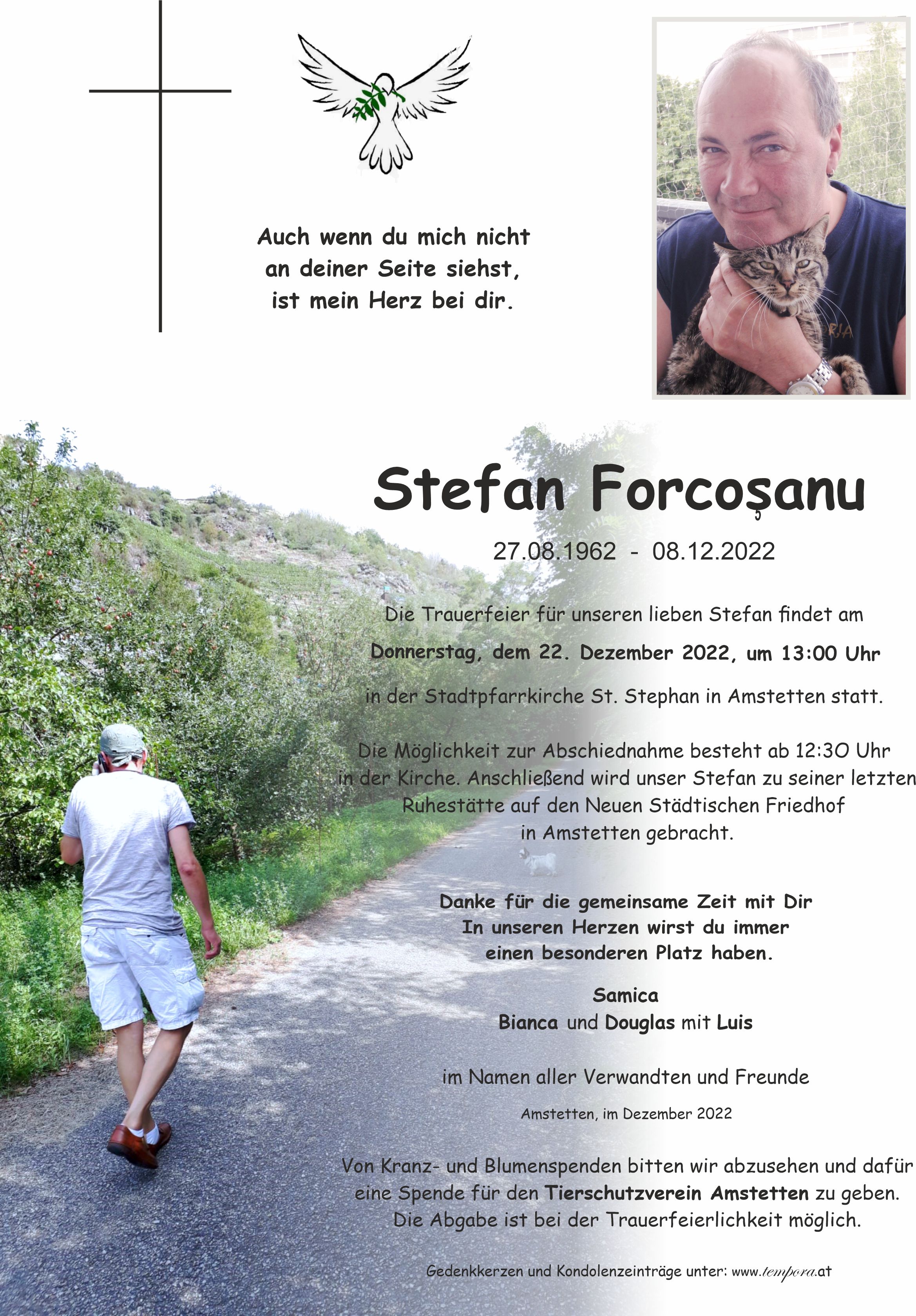 Parte Stefan Forcosanu
