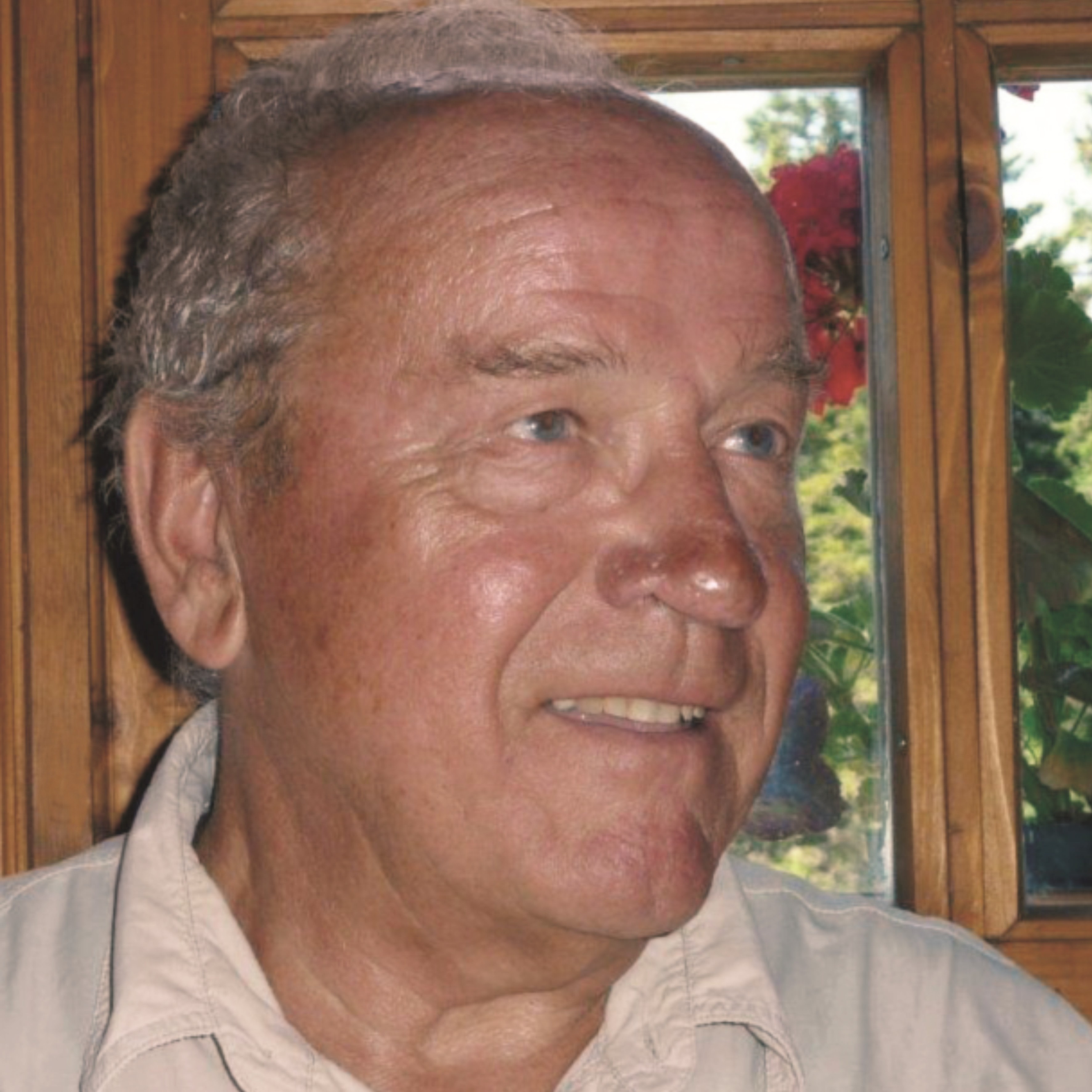 Ing. Hermann Thomanek