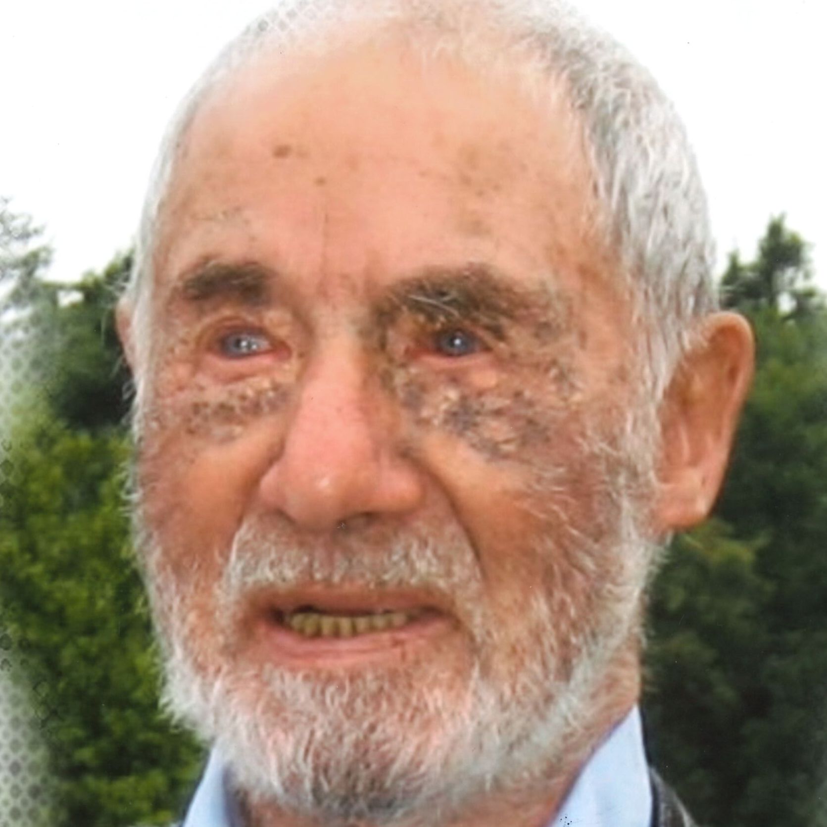 Karl Steinbauer