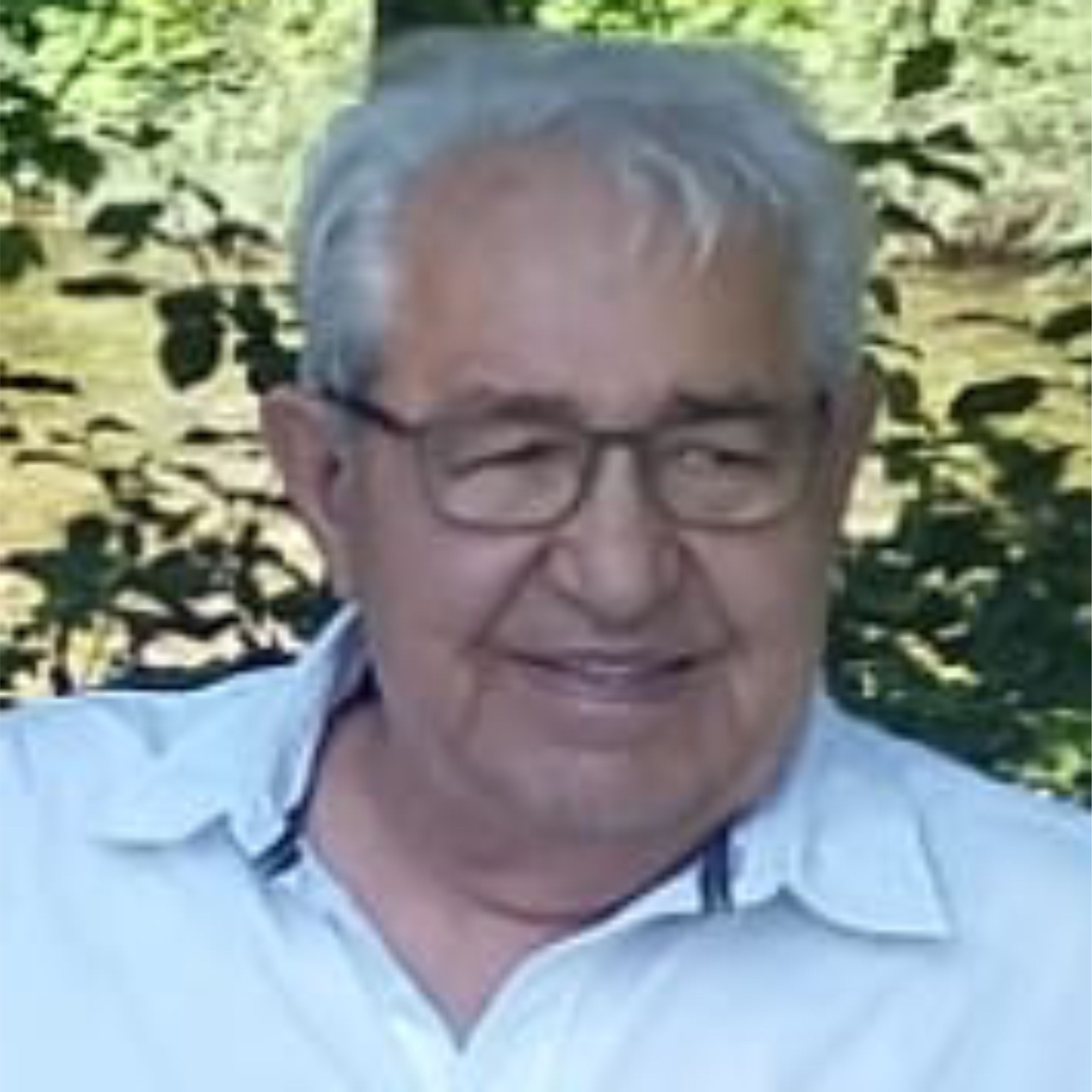 Michael Öllinger