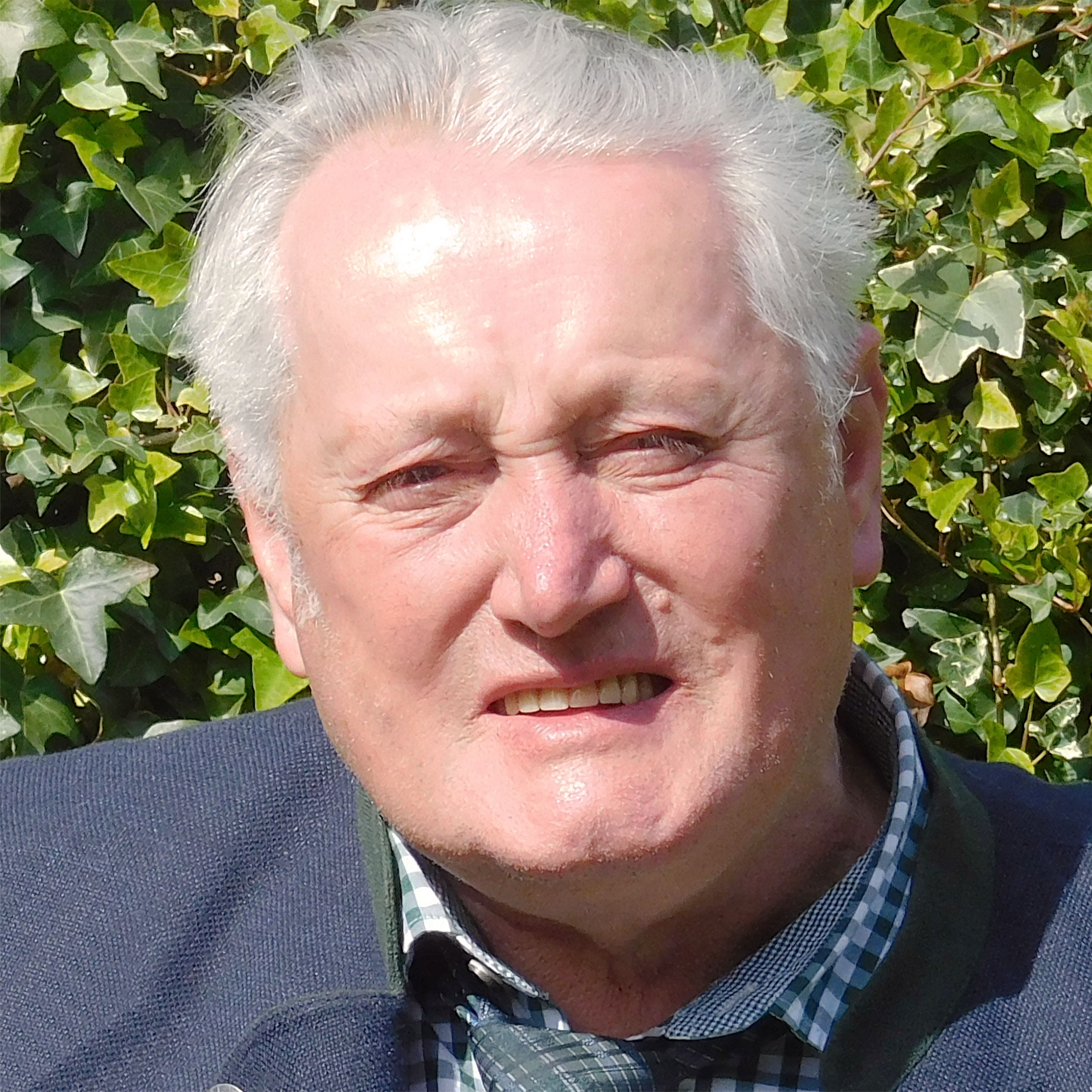Johann Bühringer